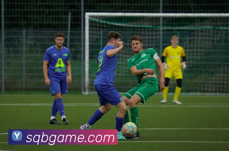 搜球吧直播官网服务体系