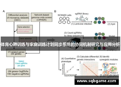 体育心肺训练与家庭训练计划同步系统的协同机制研究与应用分析